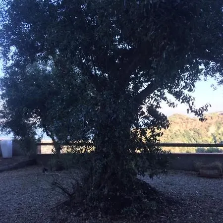 Holiday home Casa Vacanze Romissa